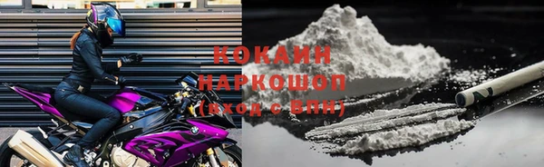 крисы Зеленокумск